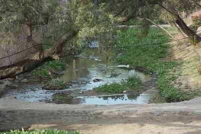 Recibe Ecología recursos federales