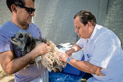 Inicia la jornada de vacunación antirrábica en Querétaro