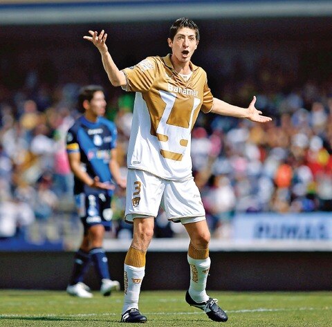 De la alegría a la amargura felina