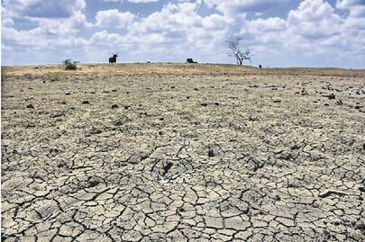 Productores del campo anuncian protesta por desabasto de agua en Querétaro