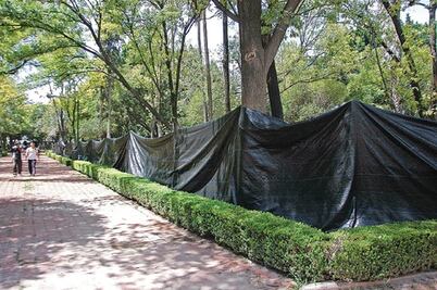 Invertirán 12 mdp en Alameda