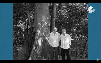 López Obrador y Carlos Slim se reúnen para supervisar avances del Tren Maya