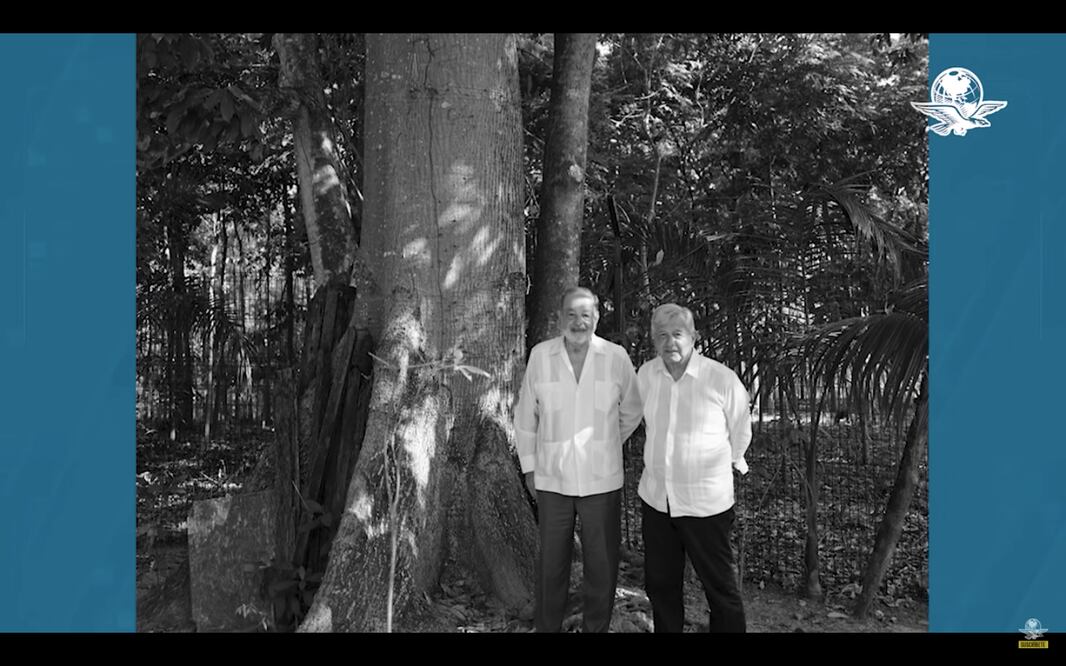 Foto: Captura de pantalla