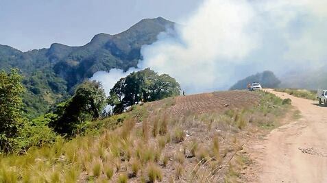 Suman 17 incendios en lo que va del año; 588 ha quemadas