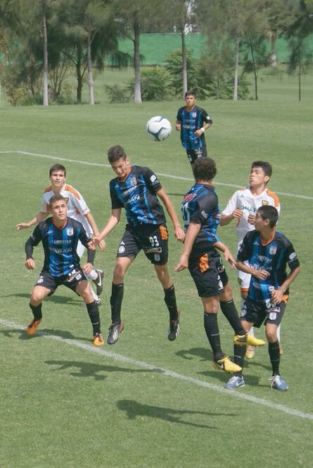 Fuerzas básicas de Gallos, un desastre 