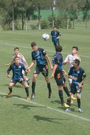 Fuerzas básicas de Gallos, un desastre