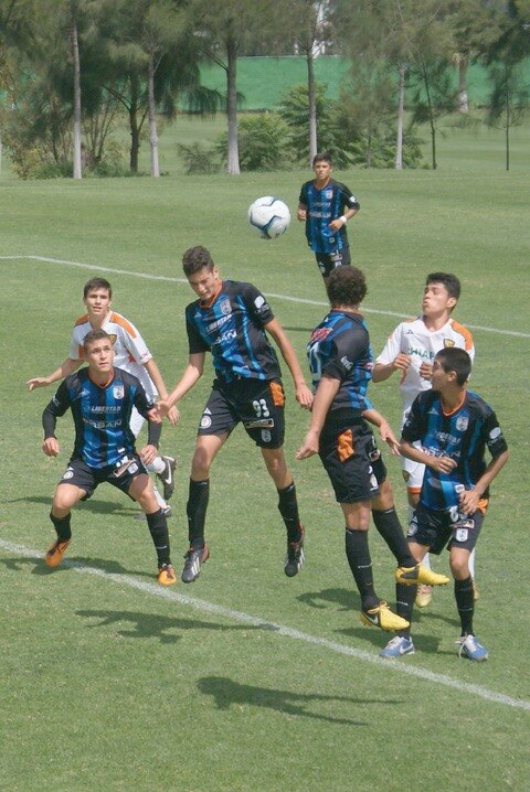 Fuerzas básicas de Gallos, un desastre