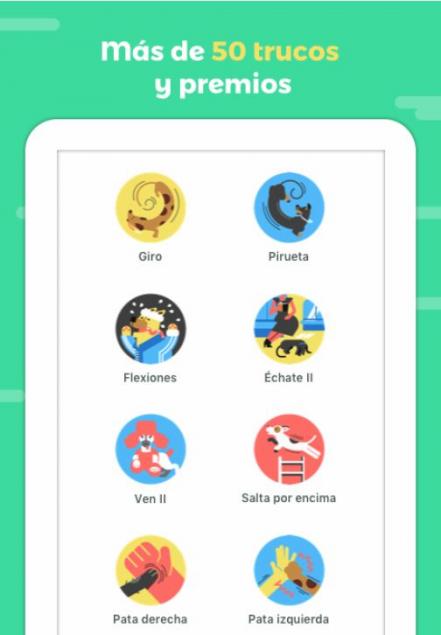 Entrena y fortalece tu amistad con tu perro