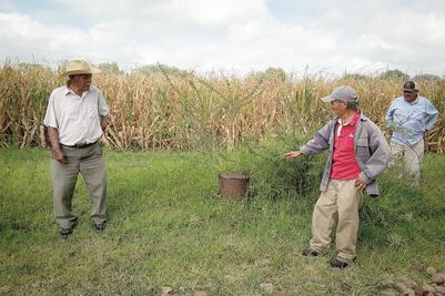 Sector campesino, de los más afectados