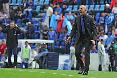 El ibérico libera presión y es afable