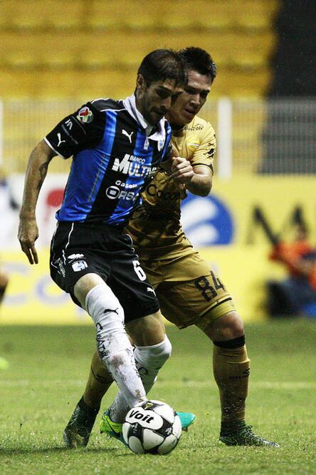 “Gallos nunca se da por vencido”