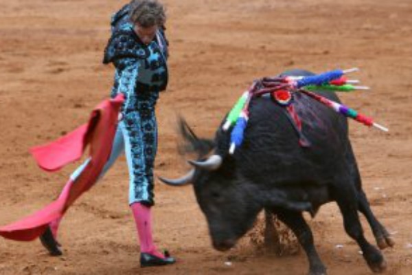 Anuncian corridas de toros en Juriquilla