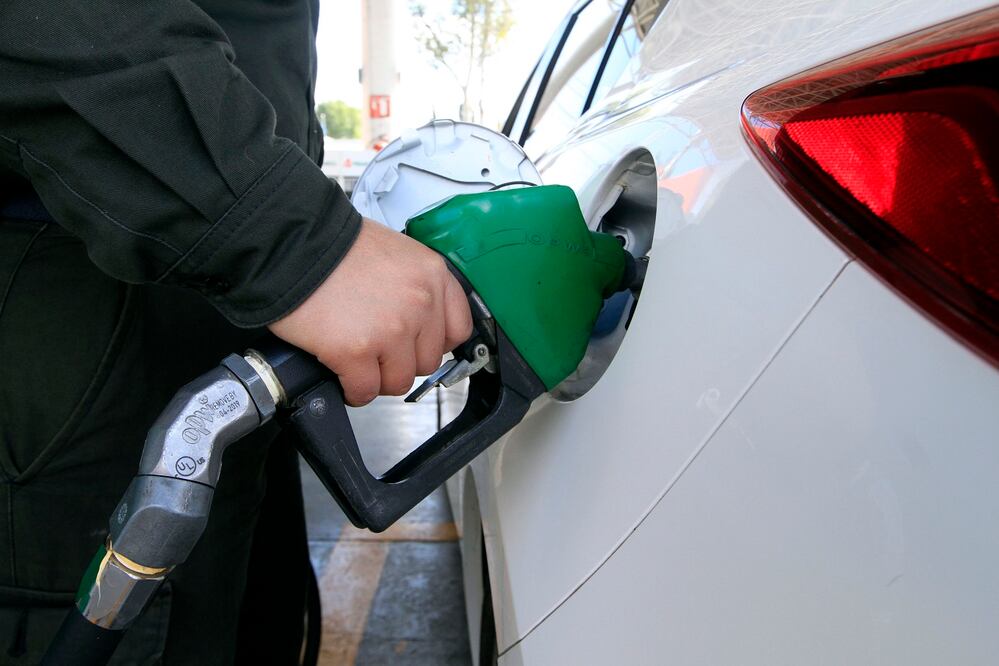 Foto: Archivo. EL UNIVERSAL