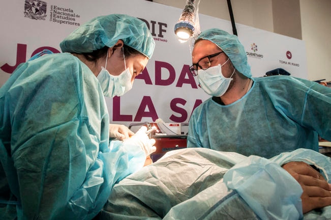 Servicio. Promueven salud bucal