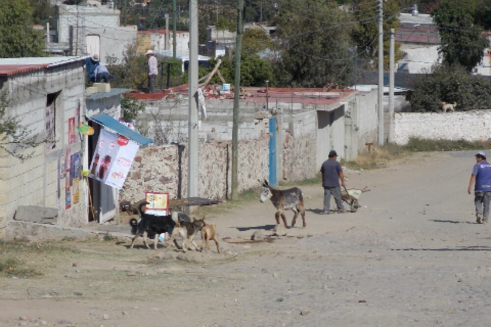 Carecen de servicios básicos en el Jaral