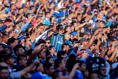 Opinión. Rumores rodean al Gallo