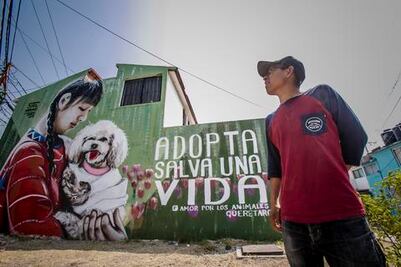 Pintor triqui crea murales