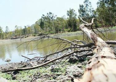 Buscan impulsar temas ecológicos