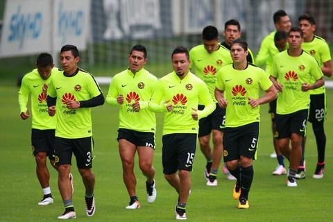 Quiere volar a la cima