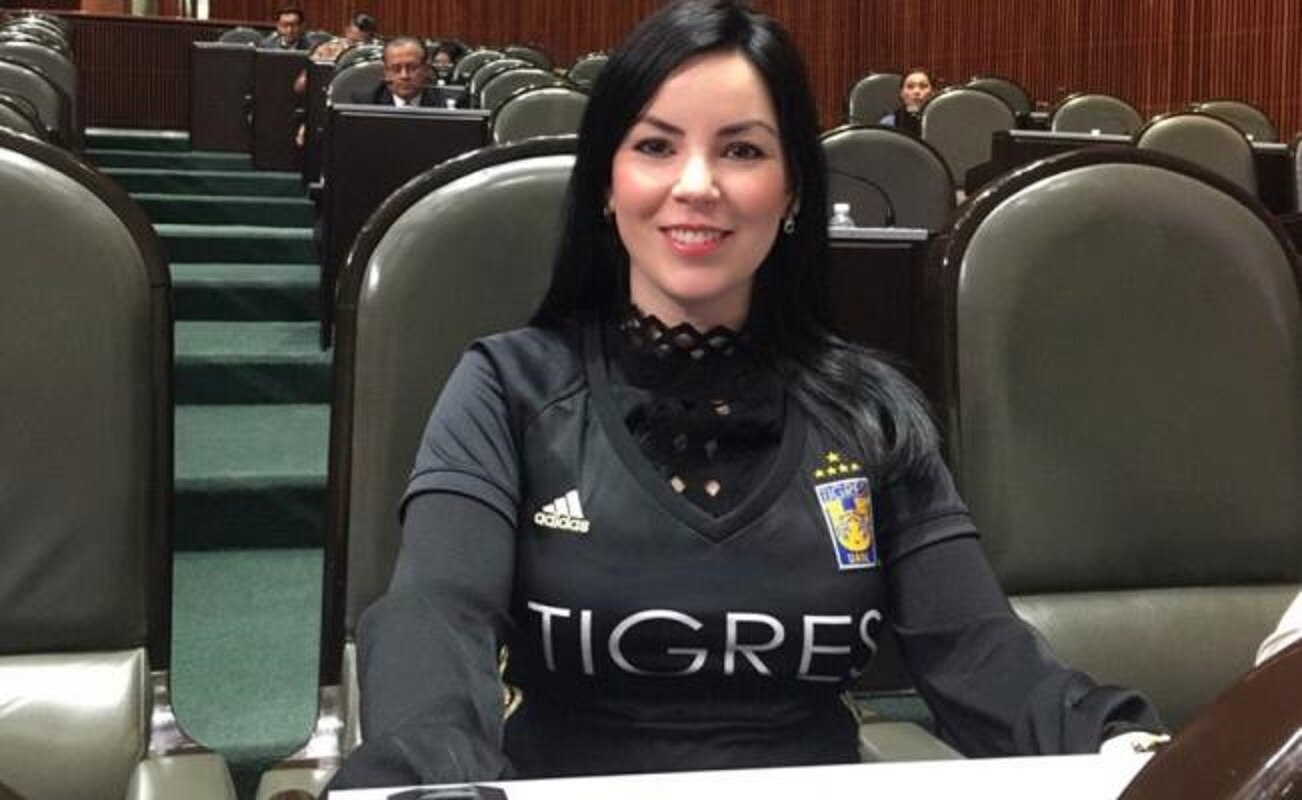 Diputada del PAN llega con playera de los Tigres a Cámara