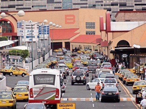 Taxis desorganizados