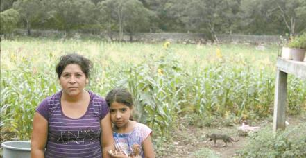Intensos documentales queretanos  