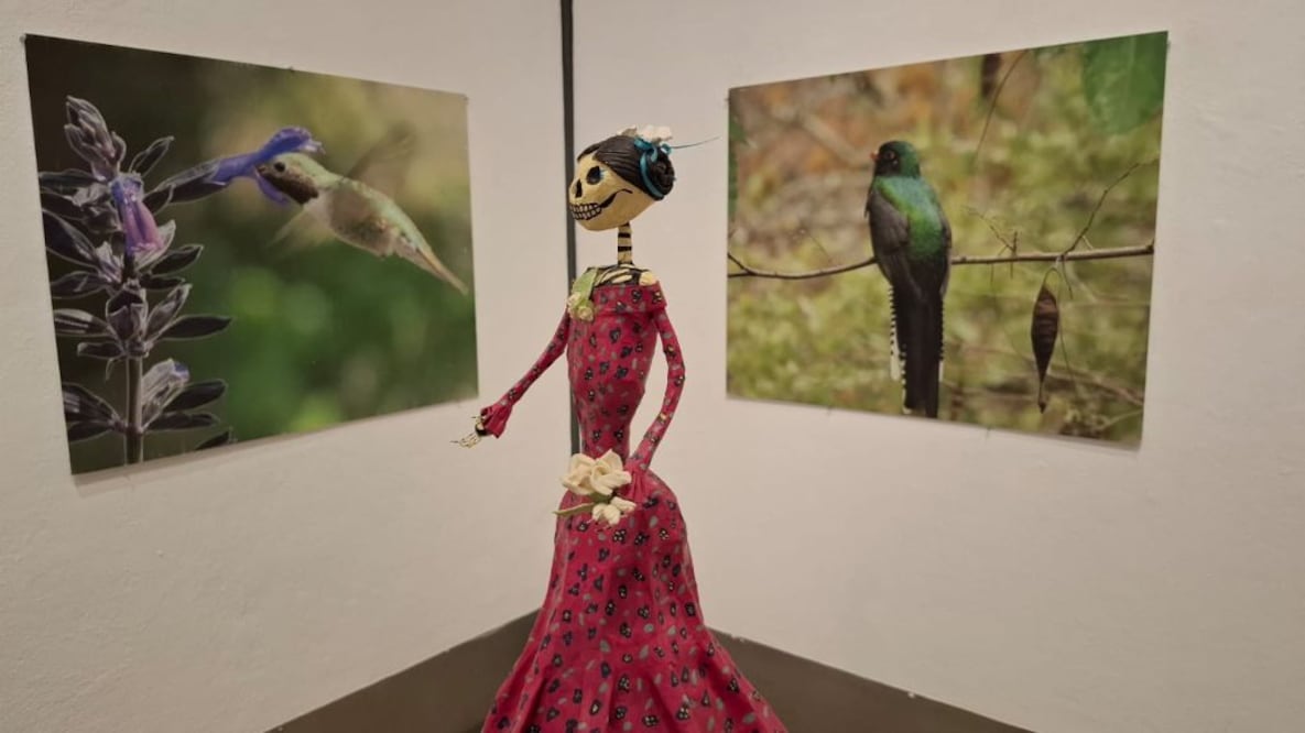 FOTO. ROCÍO G. BENÍTEZ