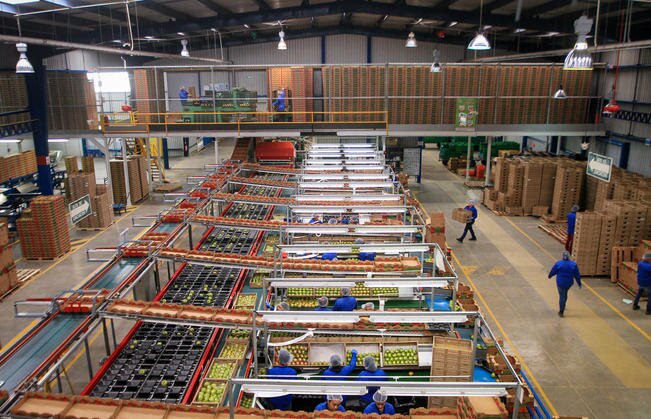 Crece 45% crédito para exportaciones