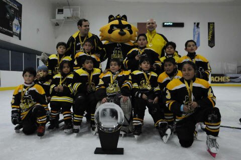 ¡Mapaches campeones!