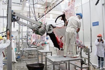 Prevén subir costo de rastro