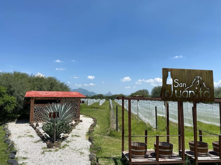 Rodada ciclista con causa entre viñedos será el 22 de febrero