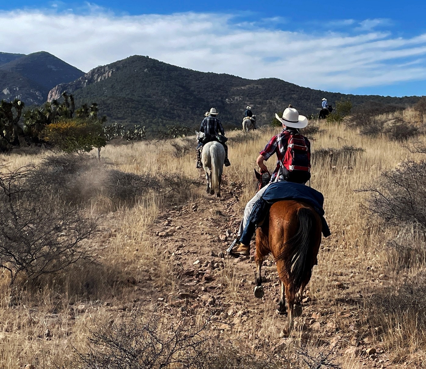 Foto: Facebook Rancho el Carrizal, Qro.
