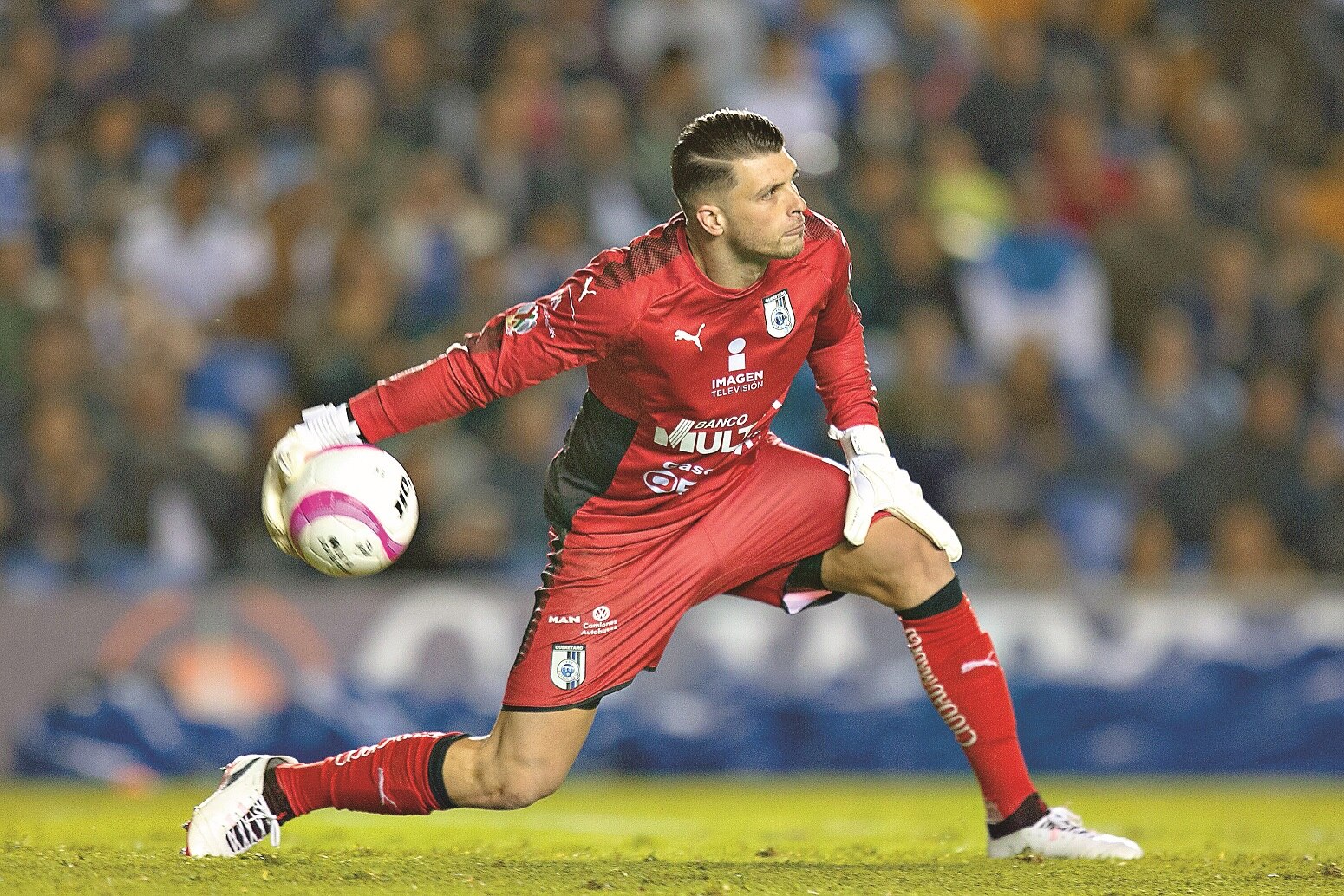 Volpi  no abandona a Gallos