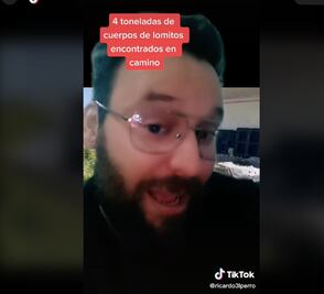 Piden investigar el caso del tráiler que transportaba perros sin vida, desde Querétaro