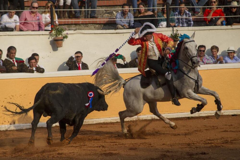 Giovanni Aloi encaró a Chelele, el primer toro de la tarde, que pesó 550 kilos.