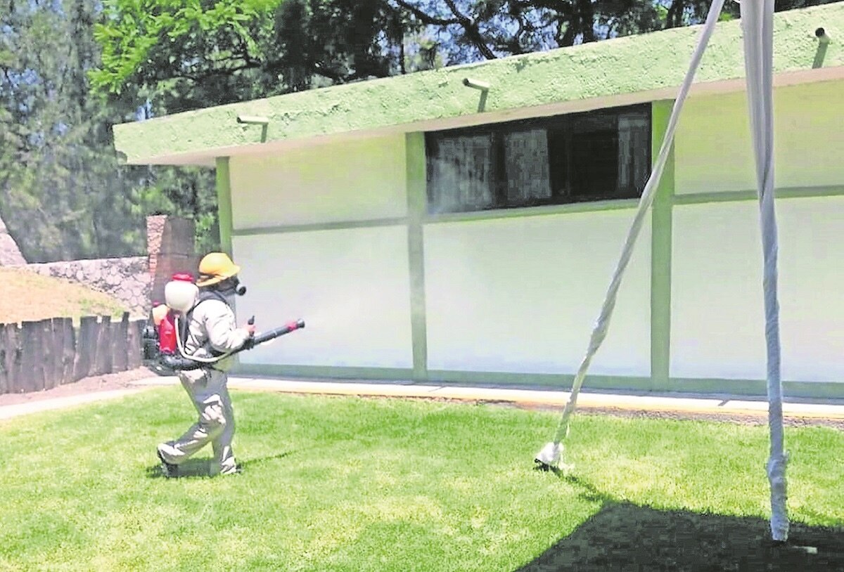 Aumenta 22% casos de dengue en Querétaro