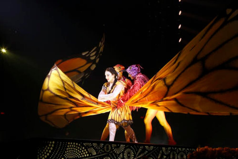 “Si esa es la cifra, es mucho. Puedo entender la reacción”: Finzi