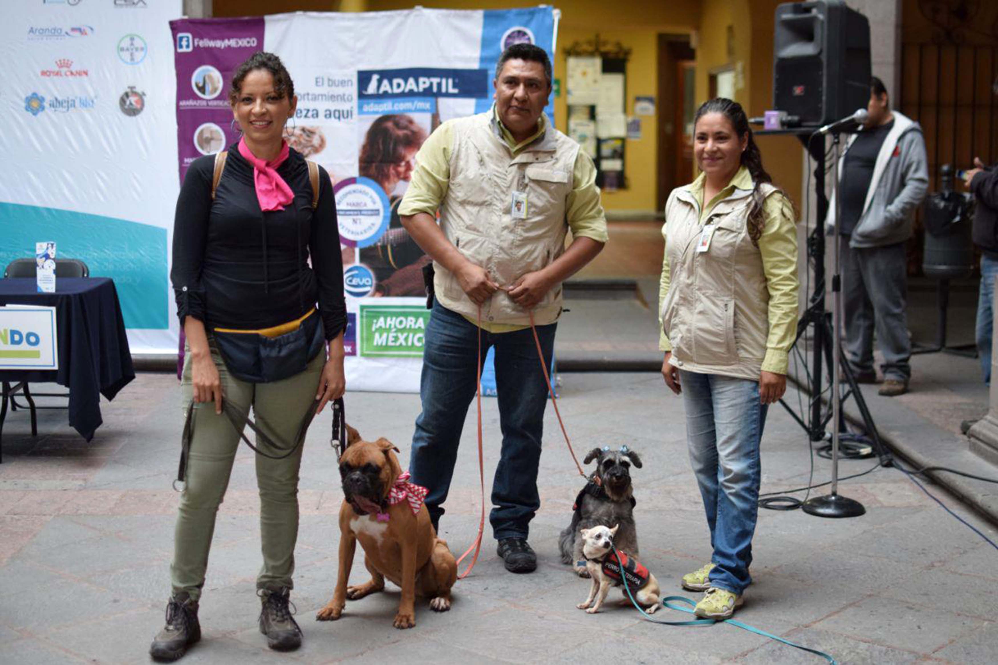 Anuncian carrera de mascotas con dueños