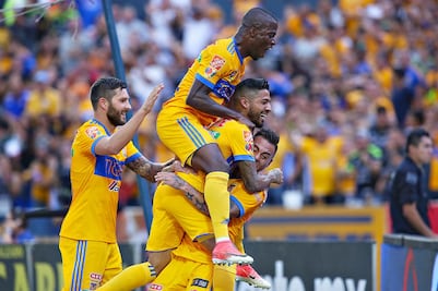 Tigres descalza a cenicienta