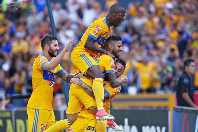 Tigres descalza a cenicienta