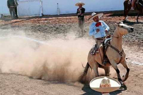 Valle de Saltillo, un campeón de Oro