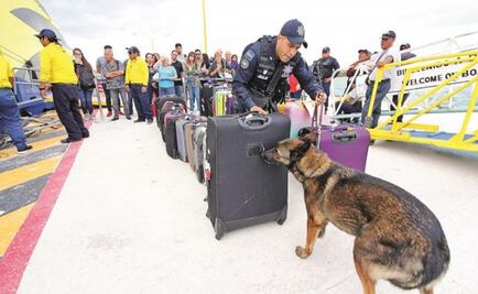 Instalan arcos detectores en puertos de ferry en Playas del Carmen