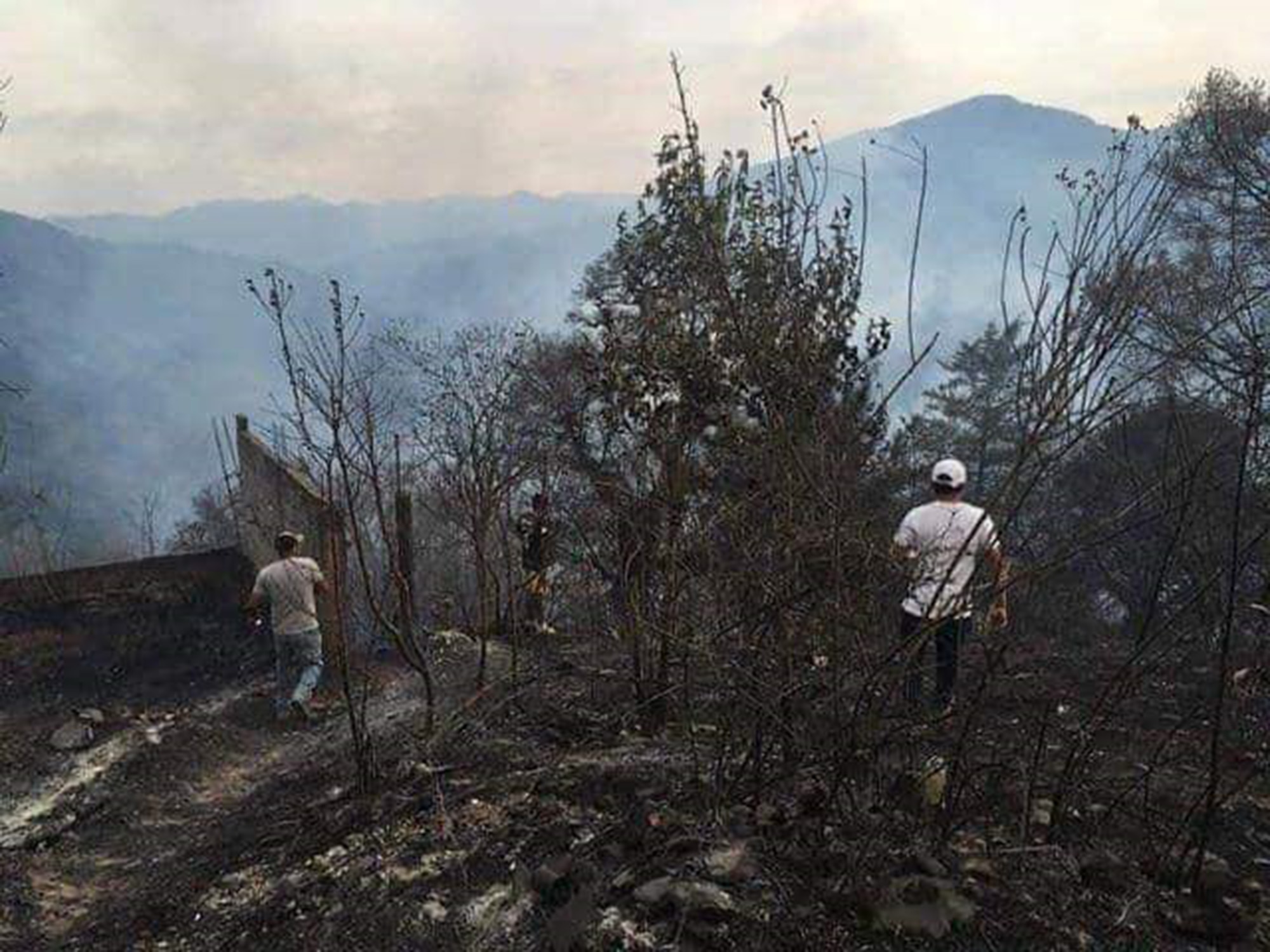 Incendio forestal afectó 80 hectáreas en El Durazno