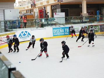 Mapaches se preparan para semis