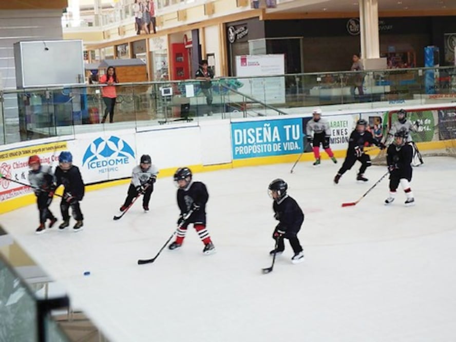 Mapaches se preparan para semis