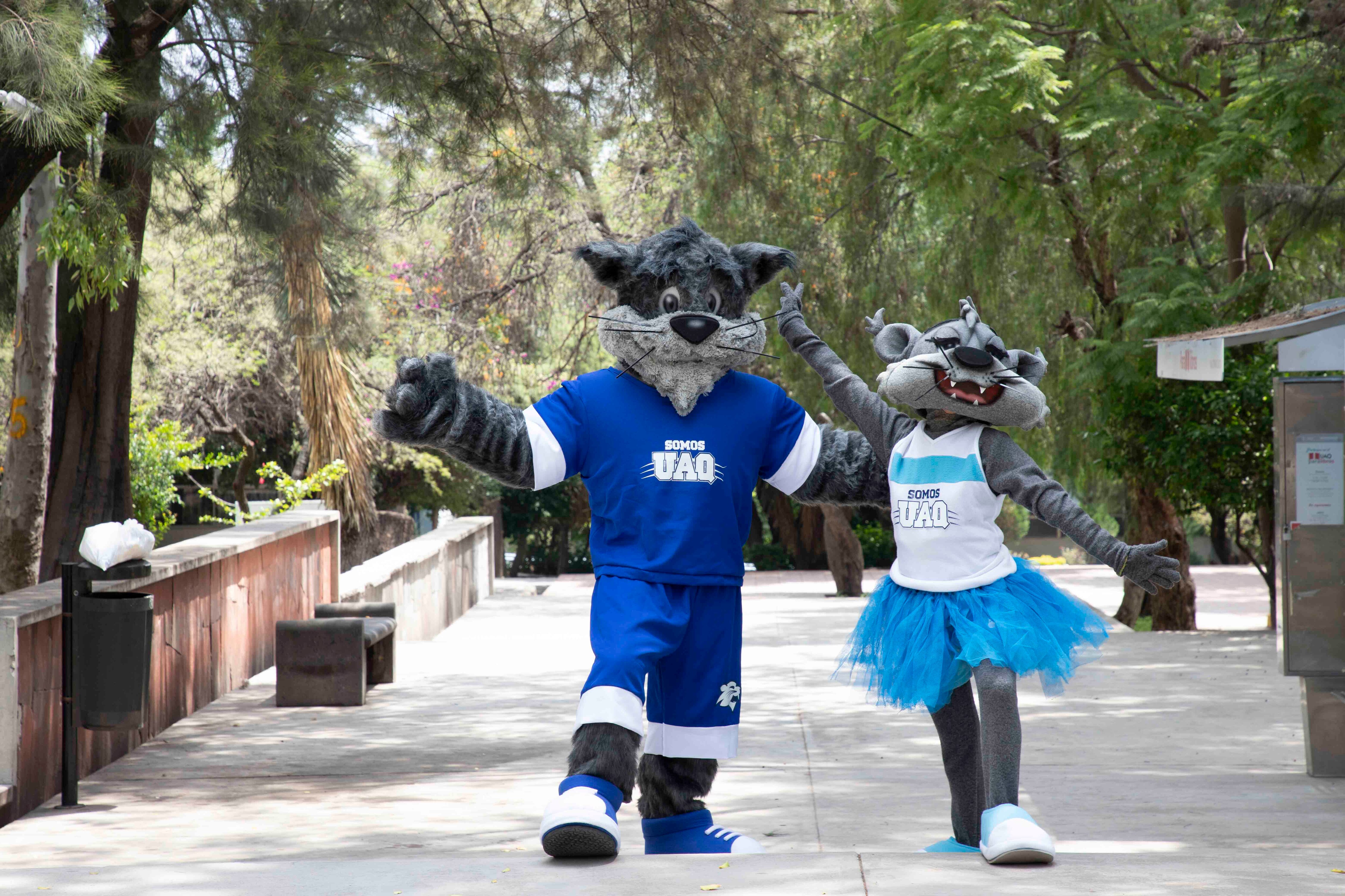 Dän y Maju, mascotas de la UAQ, se llevan premio internacional