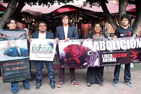 Buscan revocar decreto sobre toros