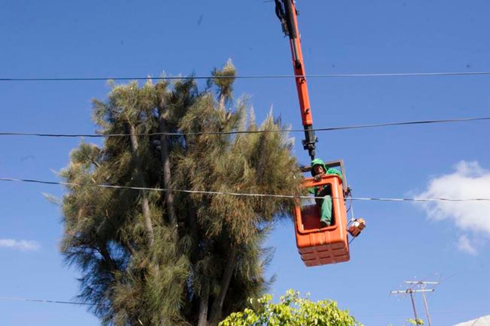 Foto: Demian Chávez