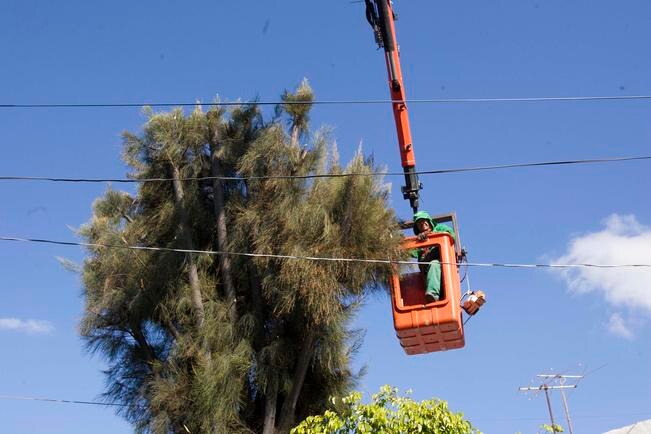 Gobierno creará tres nuevas áreas