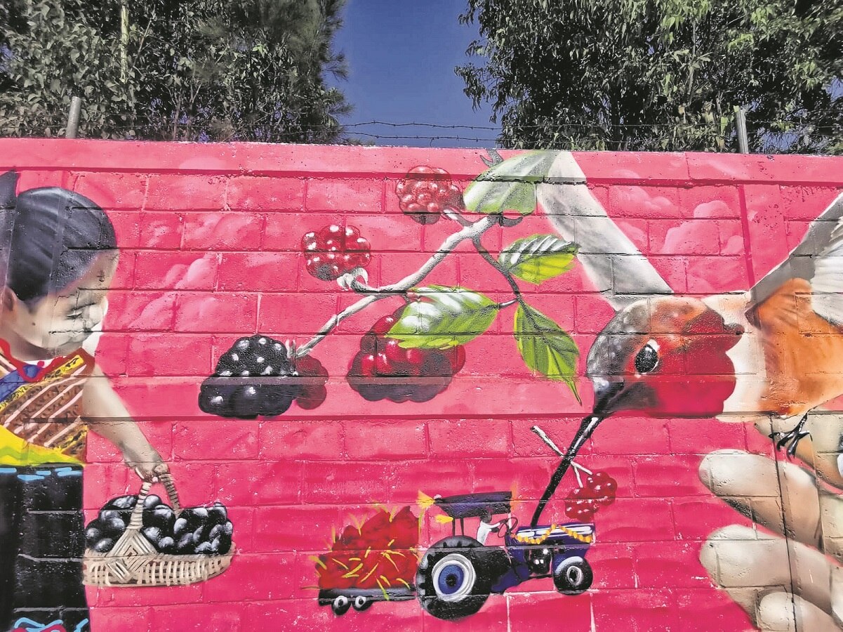 "Ruta de la Identidad Queretana", el proyecto con el que pintarán murales en todos los municipios